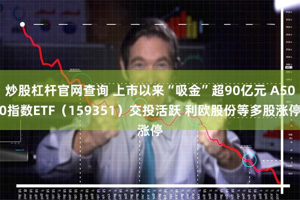 炒股杠杆官网查询 上市以来“吸金”超90亿元 A500指数ETF（159351）交投活跃 利欧股份等多股涨停
